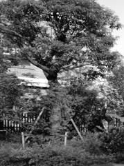 淮阴注册公司
